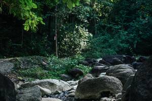 BIB: 
                            <button type="button" onclick="openModal(27949675)" class="btn btn-primary btn-sm float-right btn-popup" data-toggle="modal" data-target=".modal-high-quality">
                        <i class="fas fa-shopping-cart"></i> Add to Cart
                    </button>
                                            <button type="button" onclick="isThisMe(27949675, true)" class="btn btn-success btn-sm float-right btn-popup btn-isme hidden" data-toggle="tooltip" data-placement="bottom" title="นี่คือรูปของคุณใช่ไหม คลิกที่นี่เพื่อเอาเข้าอัลบั้ม">
                        <i class="fas fa-plus"></i> Add to album
                    </button>
                    <button type="button" onclick="isThisMe(27949675, false)" class="btn btn-warning btn-sm float-right btn-popup btn-isnotme hidden">
                        <i class="fas fa-ban"></i> Remove from album
                    </button>