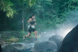 BIB: 
                            <button type="button" onclick="openModal(27956303)" class="btn btn-primary btn-sm float-right btn-popup" data-toggle="modal" data-target=".modal-high-quality">
                        <i class="fas fa-shopping-cart"></i> Add to Cart
                    </button>
                                            <button type="button" onclick="isThisMe(27956303, true)" class="btn btn-success btn-sm float-right btn-popup btn-isme hidden" data-toggle="tooltip" data-placement="bottom" title="นี่คือรูปของคุณใช่ไหม คลิกที่นี่เพื่อเอาเข้าอัลบั้ม">
                        <i class="fas fa-plus"></i> Add to album
                    </button>
                    <button type="button" onclick="isThisMe(27956303, false)" class="btn btn-warning btn-sm float-right btn-popup btn-isnotme hidden">
                        <i class="fas fa-ban"></i> Remove from album
                    </button>