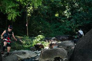 BIB: 
                            <button type="button" onclick="openModal(27968954)" class="btn btn-primary btn-sm float-right btn-popup" data-toggle="modal" data-target=".modal-high-quality">
                        <i class="fas fa-shopping-cart"></i> Add to Cart
                    </button>
                                            <button type="button" onclick="isThisMe(27968954, true)" class="btn btn-success btn-sm float-right btn-popup btn-isme hidden" data-toggle="tooltip" data-placement="bottom" title="นี่คือรูปของคุณใช่ไหม คลิกที่นี่เพื่อเอาเข้าอัลบั้ม">
                        <i class="fas fa-plus"></i> Add to album
                    </button>
                    <button type="button" onclick="isThisMe(27968954, false)" class="btn btn-warning btn-sm float-right btn-popup btn-isnotme hidden">
                        <i class="fas fa-ban"></i> Remove from album
                    </button>