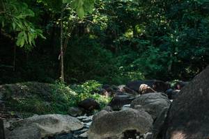 BIB: 
                            <button type="button" onclick="openModal(27968554)" class="btn btn-primary btn-sm float-right btn-popup" data-toggle="modal" data-target=".modal-high-quality">
                        <i class="fas fa-shopping-cart"></i> Add to Cart
                    </button>
                                            <button type="button" onclick="isThisMe(27968554, true)" class="btn btn-success btn-sm float-right btn-popup btn-isme hidden" data-toggle="tooltip" data-placement="bottom" title="นี่คือรูปของคุณใช่ไหม คลิกที่นี่เพื่อเอาเข้าอัลบั้ม">
                        <i class="fas fa-plus"></i> Add to album
                    </button>
                    <button type="button" onclick="isThisMe(27968554, false)" class="btn btn-warning btn-sm float-right btn-popup btn-isnotme hidden">
                        <i class="fas fa-ban"></i> Remove from album
                    </button>