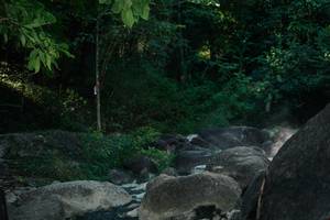 BIB: 
                            <button type="button" onclick="openModal(27961531)" class="btn btn-primary btn-sm float-right btn-popup" data-toggle="modal" data-target=".modal-high-quality">
                        <i class="fas fa-shopping-cart"></i> Add to Cart
                    </button>
                                            <button type="button" onclick="isThisMe(27961531, true)" class="btn btn-success btn-sm float-right btn-popup btn-isme hidden" data-toggle="tooltip" data-placement="bottom" title="นี่คือรูปของคุณใช่ไหม คลิกที่นี่เพื่อเอาเข้าอัลบั้ม">
                        <i class="fas fa-plus"></i> Add to album
                    </button>
                    <button type="button" onclick="isThisMe(27961531, false)" class="btn btn-warning btn-sm float-right btn-popup btn-isnotme hidden">
                        <i class="fas fa-ban"></i> Remove from album
                    </button>