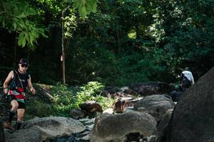 BIB: 
                            <button type="button" onclick="openModal(27968952)" class="btn btn-primary btn-sm float-right btn-popup" data-toggle="modal" data-target=".modal-high-quality">
                        <i class="fas fa-shopping-cart"></i> Add to Cart
                    </button>
                                            <button type="button" onclick="isThisMe(27968952, true)" class="btn btn-success btn-sm float-right btn-popup btn-isme hidden" data-toggle="tooltip" data-placement="bottom" title="นี่คือรูปของคุณใช่ไหม คลิกที่นี่เพื่อเอาเข้าอัลบั้ม">
                        <i class="fas fa-plus"></i> Add to album
                    </button>
                    <button type="button" onclick="isThisMe(27968952, false)" class="btn btn-warning btn-sm float-right btn-popup btn-isnotme hidden">
                        <i class="fas fa-ban"></i> Remove from album
                    </button>