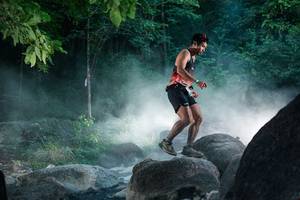 BIB: 
                            <button type="button" onclick="openModal(27956100)" class="btn btn-primary btn-sm float-right btn-popup" data-toggle="modal" data-target=".modal-high-quality">
                        <i class="fas fa-shopping-cart"></i> Add to Cart
                    </button>
                                            <button type="button" onclick="isThisMe(27956100, true)" class="btn btn-success btn-sm float-right btn-popup btn-isme hidden" data-toggle="tooltip" data-placement="bottom" title="นี่คือรูปของคุณใช่ไหม คลิกที่นี่เพื่อเอาเข้าอัลบั้ม">
                        <i class="fas fa-plus"></i> Add to album
                    </button>
                    <button type="button" onclick="isThisMe(27956100, false)" class="btn btn-warning btn-sm float-right btn-popup btn-isnotme hidden">
                        <i class="fas fa-ban"></i> Remove from album
                    </button>