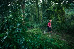 BIB: 
                            <button type="button" onclick="openModal(27918521)" class="btn btn-primary btn-sm float-right btn-popup" data-toggle="modal" data-target=".modal-high-quality">
                        <i class="fas fa-shopping-cart"></i> Add to Cart
                    </button>
                                            <button type="button" onclick="isThisMe(27918521, true)" class="btn btn-success btn-sm float-right btn-popup btn-isme hidden" data-toggle="tooltip" data-placement="bottom" title="นี่คือรูปของคุณใช่ไหม คลิกที่นี่เพื่อเอาเข้าอัลบั้ม">
                        <i class="fas fa-plus"></i> Add to album
                    </button>
                    <button type="button" onclick="isThisMe(27918521, false)" class="btn btn-warning btn-sm float-right btn-popup btn-isnotme hidden">
                        <i class="fas fa-ban"></i> Remove from album
                    </button>