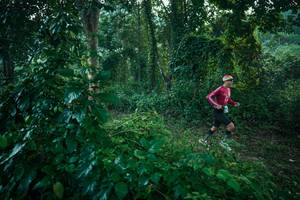 BIB: 
                            <button type="button" onclick="openModal(27918519)" class="btn btn-primary btn-sm float-right btn-popup" data-toggle="modal" data-target=".modal-high-quality">
                        <i class="fas fa-shopping-cart"></i> Add to Cart
                    </button>
                                            <button type="button" onclick="isThisMe(27918519, true)" class="btn btn-success btn-sm float-right btn-popup btn-isme hidden" data-toggle="tooltip" data-placement="bottom" title="นี่คือรูปของคุณใช่ไหม คลิกที่นี่เพื่อเอาเข้าอัลบั้ม">
                        <i class="fas fa-plus"></i> Add to album
                    </button>
                    <button type="button" onclick="isThisMe(27918519, false)" class="btn btn-warning btn-sm float-right btn-popup btn-isnotme hidden">
                        <i class="fas fa-ban"></i> Remove from album
                    </button>