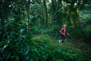 BIB: 
                            <button type="button" onclick="openModal(27918520)" class="btn btn-primary btn-sm float-right btn-popup" data-toggle="modal" data-target=".modal-high-quality">
                        <i class="fas fa-shopping-cart"></i> Add to Cart
                    </button>
                                            <button type="button" onclick="isThisMe(27918520, true)" class="btn btn-success btn-sm float-right btn-popup btn-isme hidden" data-toggle="tooltip" data-placement="bottom" title="นี่คือรูปของคุณใช่ไหม คลิกที่นี่เพื่อเอาเข้าอัลบั้ม">
                        <i class="fas fa-plus"></i> Add to album
                    </button>
                    <button type="button" onclick="isThisMe(27918520, false)" class="btn btn-warning btn-sm float-right btn-popup btn-isnotme hidden">
                        <i class="fas fa-ban"></i> Remove from album
                    </button>