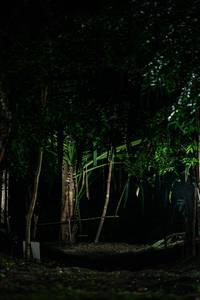 BIB: 
                            <button type="button" onclick="openModal(28142470)" class="btn btn-primary btn-sm float-right btn-popup" data-toggle="modal" data-target=".modal-high-quality">
                        <i class="fas fa-shopping-cart"></i> Add to Cart
                    </button>
                                            <button type="button" onclick="isThisMe(28142470, true)" class="btn btn-success btn-sm float-right btn-popup btn-isme hidden" data-toggle="tooltip" data-placement="bottom" title="นี่คือรูปของคุณใช่ไหม คลิกที่นี่เพื่อเอาเข้าอัลบั้ม">
                        <i class="fas fa-plus"></i> Add to album
                    </button>
                    <button type="button" onclick="isThisMe(28142470, false)" class="btn btn-warning btn-sm float-right btn-popup btn-isnotme hidden">
                        <i class="fas fa-ban"></i> Remove from album
                    </button>