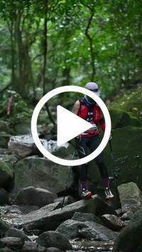 BIB:  <button type="button" onclick="openModal(27946758)" class="btn btn-primary btn-sm float-right" data-toggle="modal" data-target=".modal-high-quality">
                <i class="fa fa-download"></i> Download
                </button>