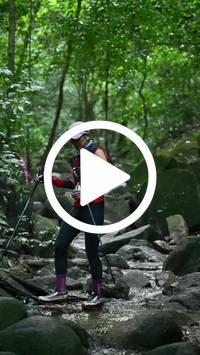 BIB:  <button type="button" onclick="openModal(27946736)" class="btn btn-primary btn-sm float-right" data-toggle="modal" data-target=".modal-high-quality">
                <i class="fa fa-download"></i> Download
                </button>