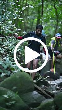 BIB:  <button type="button" onclick="openModal(27947355)" class="btn btn-primary btn-sm float-right" data-toggle="modal" data-target=".modal-high-quality">
                <i class="fa fa-download"></i> Download
                </button>