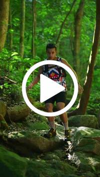 BIB:  <button type="button" onclick="openModal(27948193)" class="btn btn-primary btn-sm float-right" data-toggle="modal" data-target=".modal-high-quality">
                <i class="fa fa-download"></i> Download
                </button>