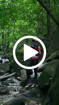 BIB:  <button type="button" onclick="openModal(27946729)" class="btn btn-primary btn-sm float-right" data-toggle="modal" data-target=".modal-high-quality">
                <i class="fa fa-download"></i> Download
                </button>