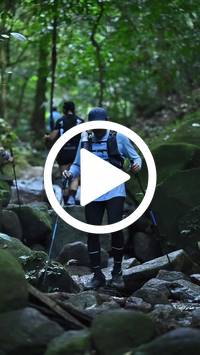 BIB:  <button type="button" onclick="openModal(27947515)" class="btn btn-primary btn-sm float-right" data-toggle="modal" data-target=".modal-high-quality">
                <i class="fa fa-download"></i> Download
                </button>