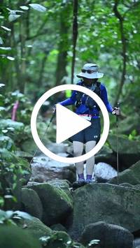 BIB:  <button type="button" onclick="openModal(27947216)" class="btn btn-primary btn-sm float-right" data-toggle="modal" data-target=".modal-high-quality">
                <i class="fa fa-download"></i> Download
                </button>