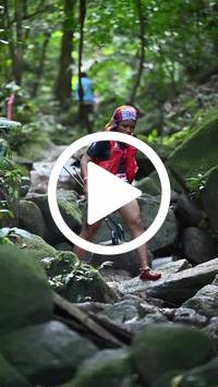 BIB:  <button type="button" onclick="openModal(27947411)" class="btn btn-primary btn-sm float-right" data-toggle="modal" data-target=".modal-high-quality">
                <i class="fa fa-download"></i> Download
                </button>