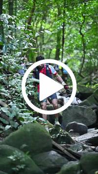 BIB:  <button type="button" onclick="openModal(27947372)" class="btn btn-primary btn-sm float-right" data-toggle="modal" data-target=".modal-high-quality">
                <i class="fa fa-download"></i> Download
                </button>