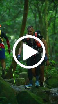 BIB:  <button type="button" onclick="openModal(27948145)" class="btn btn-primary btn-sm float-right" data-toggle="modal" data-target=".modal-high-quality">
                <i class="fa fa-download"></i> Download
                </button>