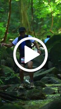 BIB:  <button type="button" onclick="openModal(27948195)" class="btn btn-primary btn-sm float-right" data-toggle="modal" data-target=".modal-high-quality">
                <i class="fa fa-download"></i> Download
                </button>