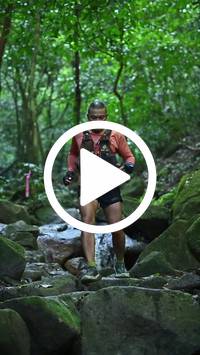 BIB:  <button type="button" onclick="openModal(27947964)" class="btn btn-primary btn-sm float-right" data-toggle="modal" data-target=".modal-high-quality">
                <i class="fa fa-download"></i> Download
                </button>