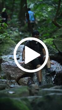 BIB:  <button type="button" onclick="openModal(27947928)" class="btn btn-primary btn-sm float-right" data-toggle="modal" data-target=".modal-high-quality">
                <i class="fa fa-download"></i> Download
                </button>