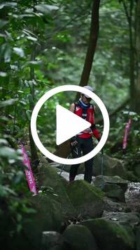 BIB:  <button type="button" onclick="openModal(27947124)" class="btn btn-primary btn-sm float-right" data-toggle="modal" data-target=".modal-high-quality">
                <i class="fa fa-download"></i> Download
                </button>