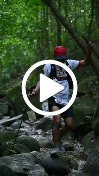 BIB:  <button type="button" onclick="openModal(27946807)" class="btn btn-primary btn-sm float-right" data-toggle="modal" data-target=".modal-high-quality">
                <i class="fa fa-download"></i> Download
                </button>