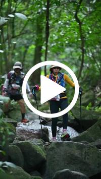 BIB:  <button type="button" onclick="openModal(27947064)" class="btn btn-primary btn-sm float-right" data-toggle="modal" data-target=".modal-high-quality">
                <i class="fa fa-download"></i> Download
                </button>