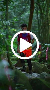 BIB:  <button type="button" onclick="openModal(27948119)" class="btn btn-primary btn-sm float-right" data-toggle="modal" data-target=".modal-high-quality">
                <i class="fa fa-download"></i> Download
                </button>