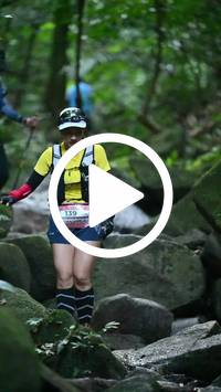 BIB:  <button type="button" onclick="openModal(27946969)" class="btn btn-primary btn-sm float-right" data-toggle="modal" data-target=".modal-high-quality">
                <i class="fa fa-download"></i> Download
                </button>