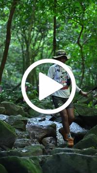 BIB:  <button type="button" onclick="openModal(27948017)" class="btn btn-primary btn-sm float-right" data-toggle="modal" data-target=".modal-high-quality">
                <i class="fa fa-download"></i> Download
                </button>