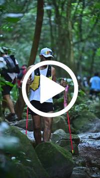 BIB:  <button type="button" onclick="openModal(27947794)" class="btn btn-primary btn-sm float-right" data-toggle="modal" data-target=".modal-high-quality">
                <i class="fa fa-download"></i> Download
                </button>