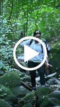 BIB:  <button type="button" onclick="openModal(27947228)" class="btn btn-primary btn-sm float-right" data-toggle="modal" data-target=".modal-high-quality">
                <i class="fa fa-download"></i> Download
                </button>