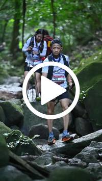 BIB:  <button type="button" onclick="openModal(27947351)" class="btn btn-primary btn-sm float-right" data-toggle="modal" data-target=".modal-high-quality">
                <i class="fa fa-download"></i> Download
                </button>