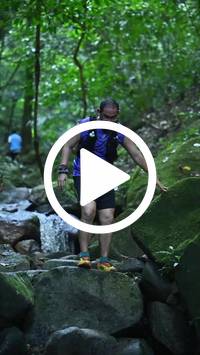 BIB:  <button type="button" onclick="openModal(27947677)" class="btn btn-primary btn-sm float-right" data-toggle="modal" data-target=".modal-high-quality">
                <i class="fa fa-download"></i> Download
                </button>