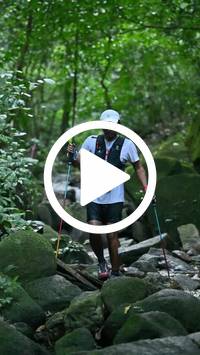 BIB:  <button type="button" onclick="openModal(27946763)" class="btn btn-primary btn-sm float-right" data-toggle="modal" data-target=".modal-high-quality">
                <i class="fa fa-download"></i> Download
                </button>