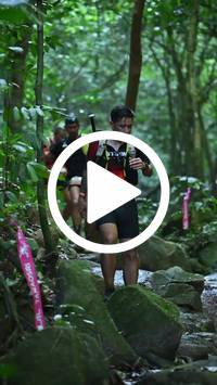 BIB:  <button type="button" onclick="openModal(27947955)" class="btn btn-primary btn-sm float-right" data-toggle="modal" data-target=".modal-high-quality">
                <i class="fa fa-download"></i> Download
                </button>