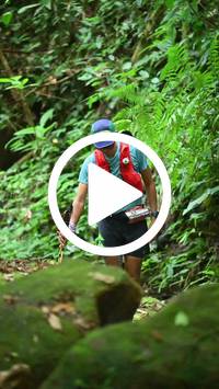 BIB:  <button type="button" onclick="openModal(27948221)" class="btn btn-primary btn-sm float-right" data-toggle="modal" data-target=".modal-high-quality">
                <i class="fa fa-download"></i> Download
                </button>