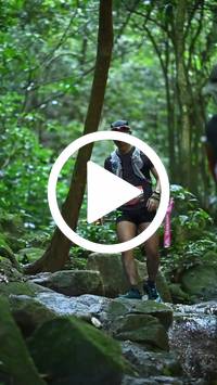 BIB:  <button type="button" onclick="openModal(27948155)" class="btn btn-primary btn-sm float-right" data-toggle="modal" data-target=".modal-high-quality">
                <i class="fa fa-download"></i> Download
                </button>