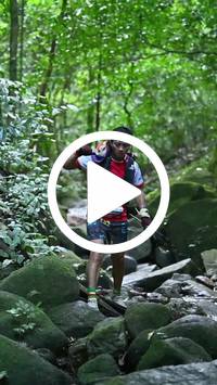 BIB:  <button type="button" onclick="openModal(27947373)" class="btn btn-primary btn-sm float-right" data-toggle="modal" data-target=".modal-high-quality">
                <i class="fa fa-download"></i> Download
                </button>