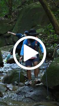 BIB:  <button type="button" onclick="openModal(27947934)" class="btn btn-primary btn-sm float-right" data-toggle="modal" data-target=".modal-high-quality">
                <i class="fa fa-download"></i> Download
                </button>