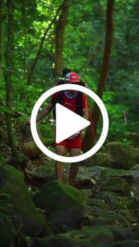 BIB:  <button type="button" onclick="openModal(27948147)" class="btn btn-primary btn-sm float-right" data-toggle="modal" data-target=".modal-high-quality">
                <i class="fa fa-download"></i> Download
                </button>