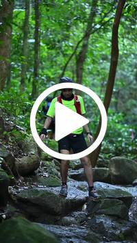 BIB:  <button type="button" onclick="openModal(27947630)" class="btn btn-primary btn-sm float-right" data-toggle="modal" data-target=".modal-high-quality">
                <i class="fa fa-download"></i> Download
                </button>