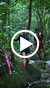 BIB:  <button type="button" onclick="openModal(27947963)" class="btn btn-primary btn-sm float-right" data-toggle="modal" data-target=".modal-high-quality">
                <i class="fa fa-download"></i> Download
                </button>