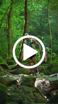 BIB:  <button type="button" onclick="openModal(27948205)" class="btn btn-primary btn-sm float-right" data-toggle="modal" data-target=".modal-high-quality">
                <i class="fa fa-download"></i> Download
                </button>