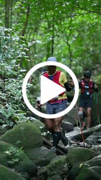 BIB:  <button type="button" onclick="openModal(27947094)" class="btn btn-primary btn-sm float-right" data-toggle="modal" data-target=".modal-high-quality">
                <i class="fa fa-download"></i> Download
                </button>