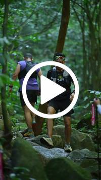 BIB:  <button type="button" onclick="openModal(27948113)" class="btn btn-primary btn-sm float-right" data-toggle="modal" data-target=".modal-high-quality">
                <i class="fa fa-download"></i> Download
                </button>