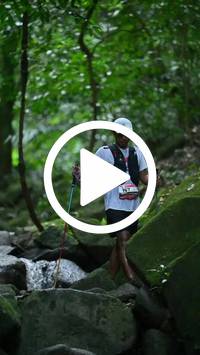 BIB:  <button type="button" onclick="openModal(27946792)" class="btn btn-primary btn-sm float-right" data-toggle="modal" data-target=".modal-high-quality">
                <i class="fa fa-download"></i> Download
                </button>