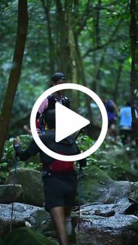 BIB:  <button type="button" onclick="openModal(27947722)" class="btn btn-primary btn-sm float-right" data-toggle="modal" data-target=".modal-high-quality">
                <i class="fa fa-download"></i> Download
                </button>