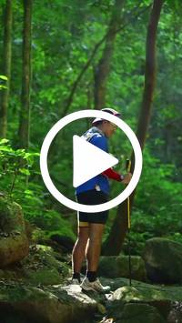 BIB:  <button type="button" onclick="openModal(27948181)" class="btn btn-primary btn-sm float-right" data-toggle="modal" data-target=".modal-high-quality">
                <i class="fa fa-download"></i> Download
                </button>