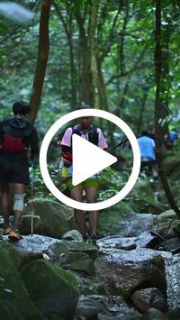 BIB:  <button type="button" onclick="openModal(27947777)" class="btn btn-primary btn-sm float-right" data-toggle="modal" data-target=".modal-high-quality">
                <i class="fa fa-download"></i> Download
                </button>